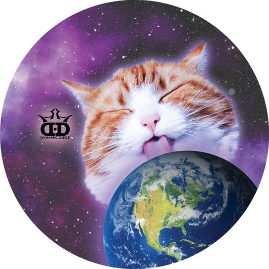 Sapphire (Gold DyeMax) Kitty Licking The Earth