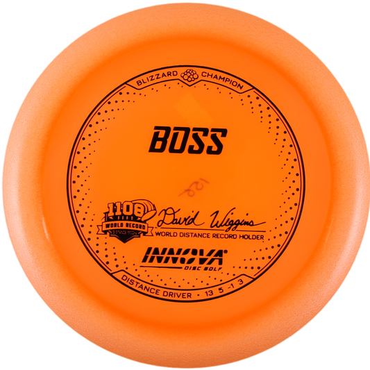 Boss (Blizzard Champion)