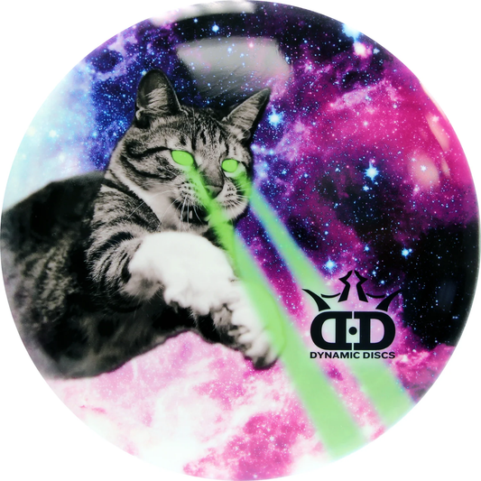 Bear (Tournament DyeMax) Laser Kitty