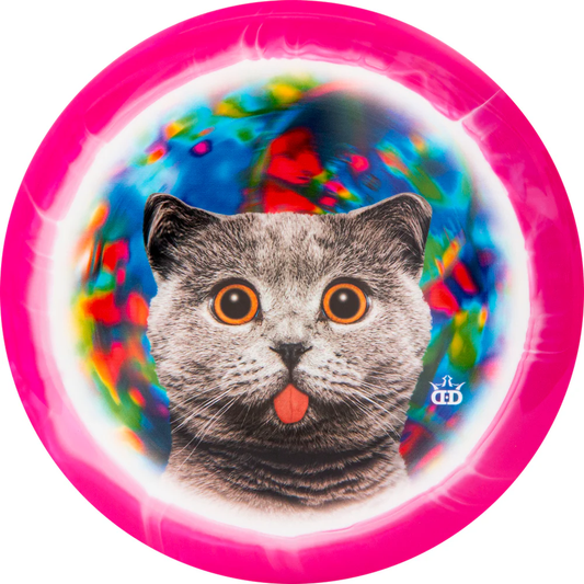 Raider (Orbit DyeMax) Kitty Trippin